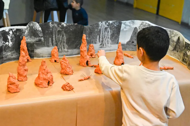 Maison pour tous Georges Brassens